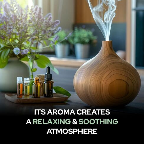 زيت بابتشي (Psoralea Corylifolia) زيت ناقل مضغوط على البارد نقي وطبيعي 100% وغير مخفف وغير مقطوع | استخدام للعلاج بالروائح | درجة علاجية (50 مل مع قطارة) in Kuwait