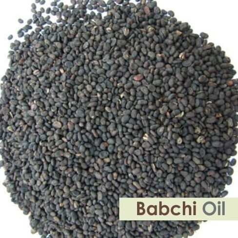 زيت بذور القطن (Gossypium Herbaceum) زيت ناقل مضغوط على البارد - (1.01 أونصة سائلة (عبوة من 1)) in Kuwait