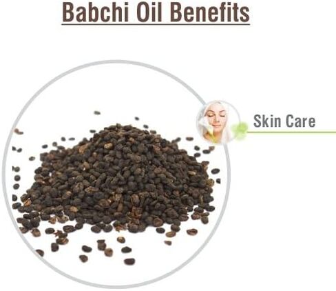 زيت بذور القطن (Gossypium Herbaceum) زيت ناقل مضغوط على البارد - (1.01 أونصة سائلة (عبوة من 1)) in Kuwait