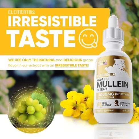 Mullein Leaf Extract - Organic Mullein Drops for Lungs and Cleanse Immune Support - Mullein Extract for Lungs Health - Mullein Tincture - Made in The USA – 2 oz in Kuwait