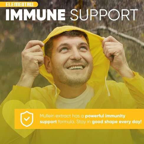 Mullein Leaf Extract - Organic Mullein Drops for Lungs and Cleanse Immune Support - Mullein Extract for Lungs Health - Mullein Tincture - Made in The USA – 2 oz in Kuwait