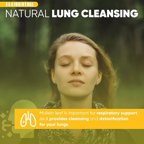 Mullein Leaf Extract - Organic Mullein Drops for Lungs and Cleanse Immune Support - Mullein Extract for Lungs Health - Mullein Tincture - Made in The USA – 2 oz in Kuwait