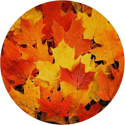 QUICQOD Autumn Fall Yellow Leaves Seasonal Cottagecore Mouse Pad 8.7 x 8.7 Inches,Non-Slip Rubber Base Mousepads for Home Office Dorm Desk Decor,Gifts for Fall Lovers in Saudi Arabia