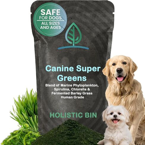 Canine Super Greens by Holistic Bin | Vegan Dog Nutritional Supplement with Marine Phytoplankton, Spirulina, Chlorella, & Fermented Barley Grass | Organic Skin and Coat Support (50 Grams) in Kuwait
