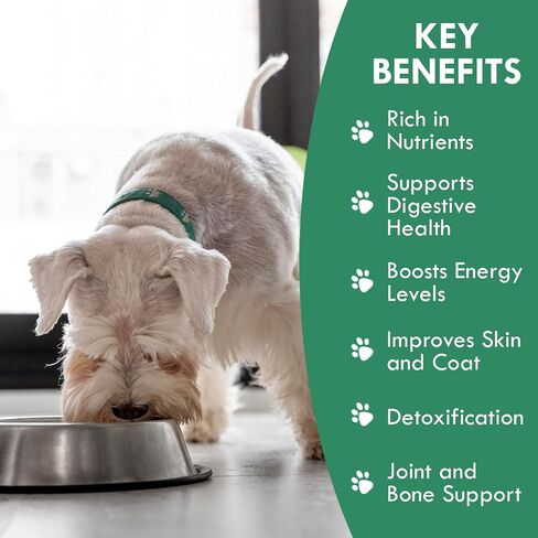 Canine Super Greens by Holistic Bin | Vegan Dog Nutritional Supplement with Marine Phytoplankton, Spirulina, Chlorella, & Fermented Barley Grass | Organic Skin and Coat Support (50 Grams) in Kuwait