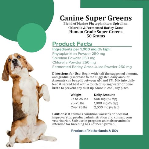 Canine Super Greens by Holistic Bin | Vegan Dog Nutritional Supplement with Marine Phytoplankton, Spirulina, Chlorella, & Fermented Barley Grass | Organic Skin and Coat Support (50 Grams) in Kuwait