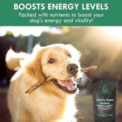 Canine Super Greens by Holistic Bin | Vegan Dog Nutritional Supplement with Marine Phytoplankton, Spirulina, Chlorella, & Fermented Barley Grass | Organic Skin and Coat Support (50 Grams) in Kuwait