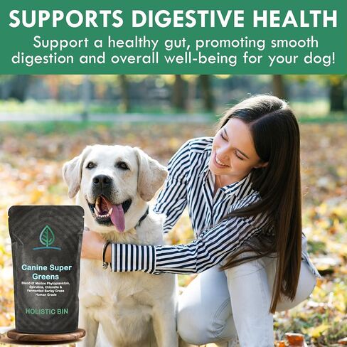 Canine Super Greens by Holistic Bin | Vegan Dog Nutritional Supplement with Marine Phytoplankton, Spirulina, Chlorella, & Fermented Barley Grass | Organic Skin and Coat Support (50 Grams) in Kuwait
