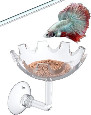 Pawfly 3 Pcs Shrimp Feeding Dish, Clear Glass Aquarium Shrimp Feeder Dish, Small Round Fish Tank Feeding Bowl, Fish Feeding Bowl, Transparent Food Bowl Tray for Fish Tanks and Terrariums in Kuwait