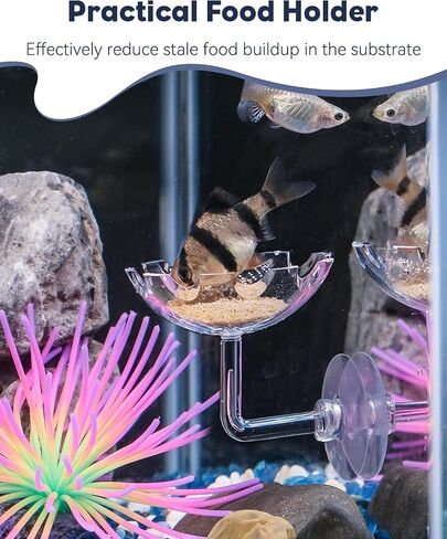 Pawfly 3 Pcs Shrimp Feeding Dish, Clear Glass Aquarium Shrimp Feeder Dish, Small Round Fish Tank Feeding Bowl, Fish Feeding Bowl, Transparent Food Bowl Tray for Fish Tanks and Terrariums in Kuwait