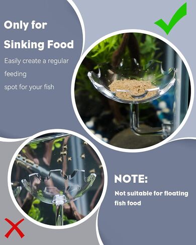 Pawfly 3 Pcs Shrimp Feeding Dish, Clear Glass Aquarium Shrimp Feeder Dish, Small Round Fish Tank Feeding Bowl, Fish Feeding Bowl, Transparent Food Bowl Tray for Fish Tanks and Terrariums in Kuwait