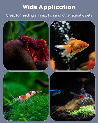 Pawfly 3 Pcs Shrimp Feeding Dish, Clear Glass Aquarium Shrimp Feeder Dish, Small Round Fish Tank Feeding Bowl, Fish Feeding Bowl, Transparent Food Bowl Tray for Fish Tanks and Terrariums in Kuwait