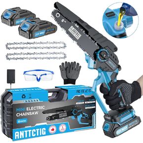 Mini Chainsaw 6 inch Cordless, 21V/2Ah Battery Powered Chain Saw for Branch Pruning with 2 Chains, 2 Battery, Portable Electric Handheld Small Chainsaw w/Security Lock, for Wood Cutting Tree Trimming