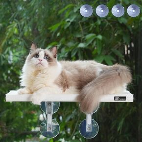 Fampety 17" Small Cat Window Perch for Narrow Space,Foldable,Cordless,Hold Up 60lbs,8pcs Sucstion Cups,Preassemble,Easy Clean,Quick Dry,Buy 2pcs to Set Up be 34" Extra Large Cat Seat - White