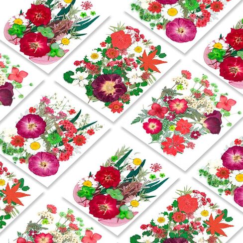 Blaflo 35+pcs Purple Flowers for Resin Model, Real Pressed Flowers Dry Leaves Bulk Natural Herbs Kit for Scrapbooking DIY Art Crafts, Epoxy Jewelry, Candle, Soap Making, Nails Decor in Kuwait