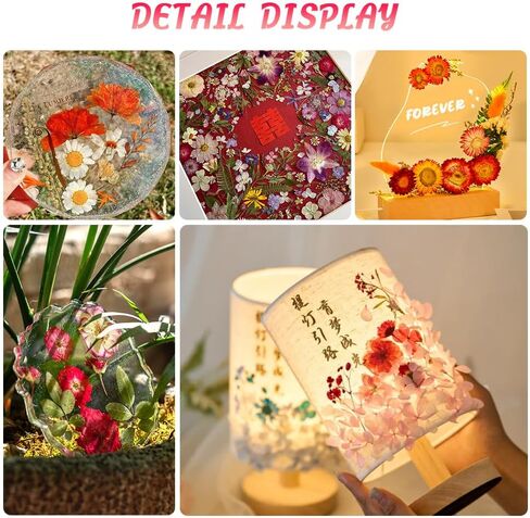 Blaflo 35+pcs Purple Flowers for Resin Model, Real Pressed Flowers Dry Leaves Bulk Natural Herbs Kit for Scrapbooking DIY Art Crafts, Epoxy Jewelry, Candle, Soap Making, Nails Decor in Kuwait