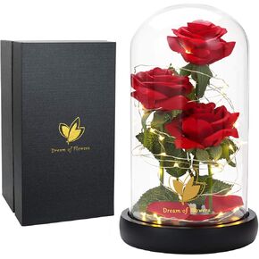 DREAM OF FIOWERS Beauty and The Beast Roses، سلسلة مصابيح LED على قبة زجاجية على قاعدة خشبية لعيد الحب وعيد الأم والذكرى السنوية للزفاف in Kuwait