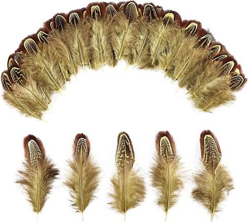 THARAHT Pheasant Plumage Feathers 120pcs Natural 2-3 Inches for Thanksgiving Crafts Hats Sewing Clothing Wedding Dream Catcher Decoration Feathers,Natural in Kuwait