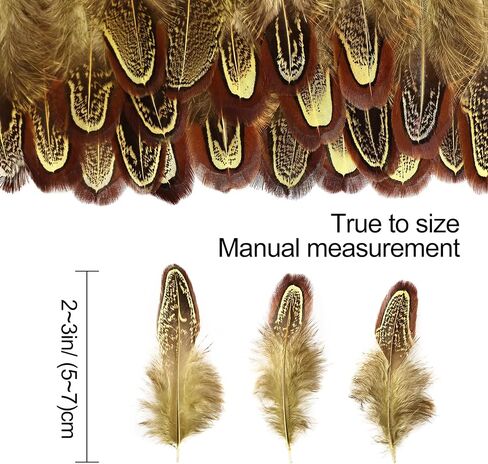 THARAHT Pheasant Plumage Feathers 120pcs Natural 2-3 Inches for Thanksgiving Crafts Hats Sewing Clothing Wedding Dream Catcher Decoration Feathers,Natural in Kuwait