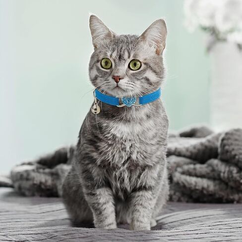 4 قطع من حجر الراين للقطط على شكل قلب بلينغ الانفصالية للقطط، طوق للقطط في عيد الحب، طوق مخملي ناعم مع حجر الراين، قلب الحب قابل للتعديل، طوق للقطط الآمن مع جرس للكيتي (أحمر، أسود) in Kuwait