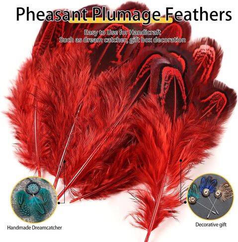 THARAHT Spotted Feathers 120pcs 2-3inch Small Natural Bulk Guinea Pheasant Feather for Crafts Hats Dream Catcher Decoration Feathers,Coffee in Kuwait