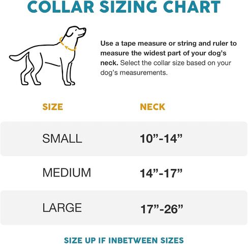 Embark Urban Dog Collar – Dog Collar Stylish & Durable Nylon Dog Collar for Large Dogs, Small Dogs & Medium Dogs.Comfortable Pet Collar Strong Buckles for Any Size Breed |Puppy Collars| in Kuwait