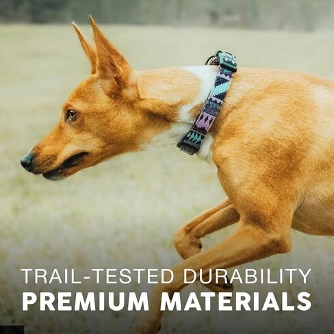 Embark Urban Dog Collar – Dog Collar Stylish & Durable Nylon Dog Collar for Large Dogs, Small Dogs & Medium Dogs.Comfortable Pet Collar Strong Buckles for Any Size Breed |Puppy Collars| in Kuwait