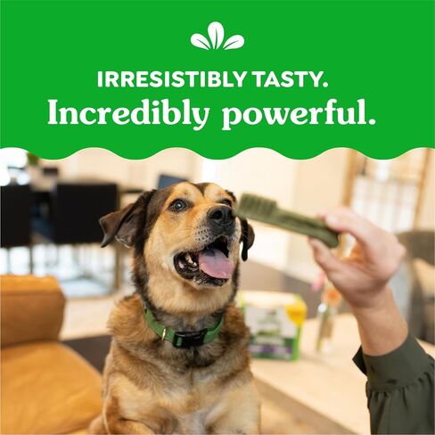 GREENIES Large Natural Dog Dental Care Chews Oral Health Dog Treats Fresh Flavor, 12 oz. Pack (8 Treats) in Saudi Arabia