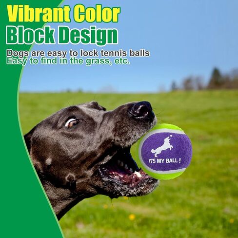 EXPAWLORER Dog Squeaky Tennis Balls for Dogs Set of 12 for Pet Playing and Training 2.5" in Kuwait