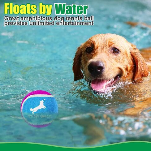 EXPAWLORER Dog Squeaky Tennis Balls for Dogs Set of 12 for Pet Playing and Training 2.5" in Kuwait