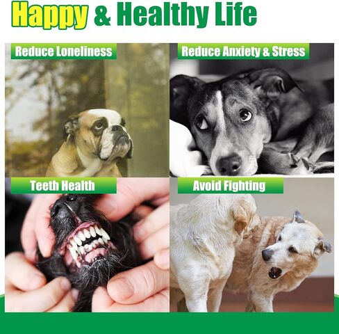 EXPAWLORER Dog Squeaky Tennis Balls for Dogs Set of 12 for Pet Playing and Training 2.5" in Kuwait