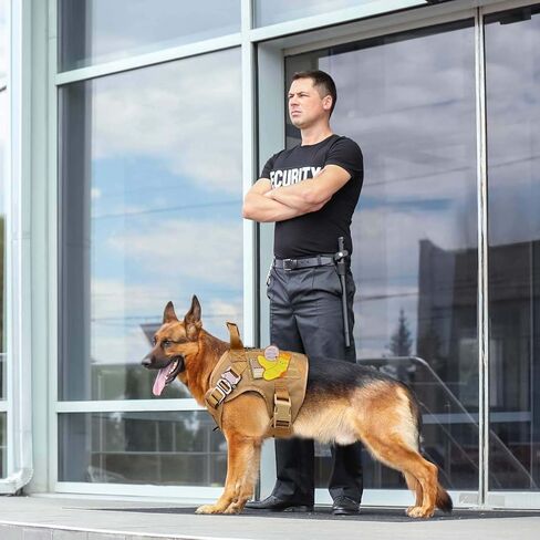 رقعة خطاف وحلقة مضحكة، رقعة خطاف وحلقة مطرزة، رقعة معنويات حيوان لطيف، ملحقات مزخرفة لحقائب الظهر، وأحزمة الكلاب، وسترات الجيش، وحقائب الصالة الرياضية، والقبعات، والخوذات in Kuwait