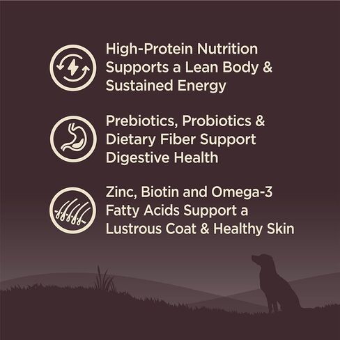 Wellness CORE Grain-Free High-Protein Dry Dog Food, Natural Ingredients, Made in USA with Real Meat, All Breeds, For Adult Dogs (Reduced Fat, 4-Pound Bag) in Kuwait