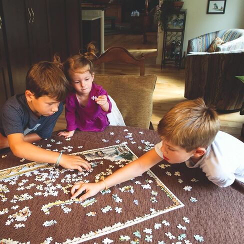 Alaska Inside Passage Map Cardboard Jigsaw Puzzle - 1000 Pieces, Hand-Illustrated - Educational, Family Activity, Ages 7+, Includes Poster - 25.4 x 19.8 in Kuwait