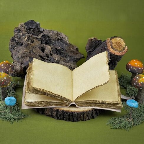 Vintage Mushroom Journal-Aesthetic Botanical Themed Notebook-Beautiful Retro Book of Shadows Journal Sketchbook-Cute Mushroom Gifts Women Grimoire 200 Pages in Kuwait
