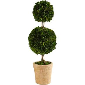 Nearly Natural 2.5ft. Preserved Boxwood Double Ball Topiary Tree in Decorative Planter