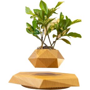 PeacePlanet Levitating Products All (Display Stand (Capacity: 200g))