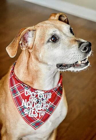 2 Pack Dog Bandana Christmas for Puppy Cat,Plaid Christmas Scarf for Dogs in Saudi Arabia