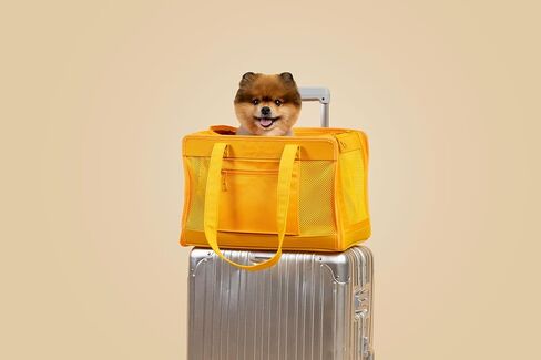 Fashionable Travel Pet Carrier for Small Dogs and Cats by Oskar&Friends | Airline Approved Small Dog Carrier | Puppy Carrier | Soft Sided Cat Carrier| Lightweight Travel Purse for Pets Under 15lbs in Kuwait