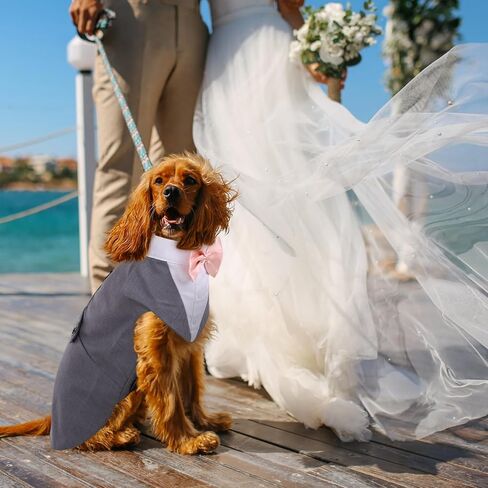 DORA BRIDAL Dog Tuxedo Dog Wedding Outfit, Formal Dog Suit and Bandana Set, Dog Wedding Attire Party Dog Bow Tie Shirt for Large Medium Dogs Labrador Golden Retrievers Bulldogs Boy in Kuwait