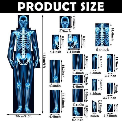 16 Pieces Human X Rays Bones X Rays Human Xrays for Kids Human Bones Body Display Play Table, Black and White in Saudi Arabia
