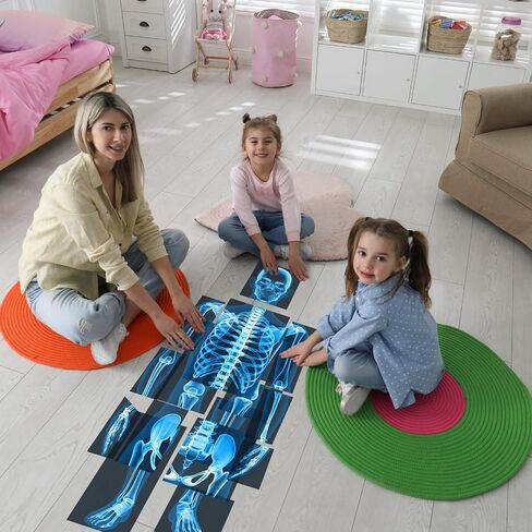 16 Pieces Human X Rays Bones X Rays Human Xrays for Kids Human Bones Body Display Play Table, Black and White in Saudi Arabia