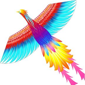 Mint’s Colorful Life Pink Kite for Kids Adults, Large Flamingo Bird Kite Easy to Fly Beach Kites in Saudi Arabia