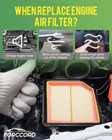Cabin Air Filter and Engine Air Filter Fits for 2018-2024 Jeep Wrangler 2.0L/3.6L, 2020-2023 Gladiator 3.6L 68301863AA 68257030AA (NOT 3.0L / 6.4L/ DIESEL!!)(NOT 4-door Rubicon) in Kuwait