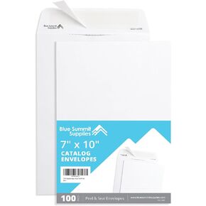 250 6 X 9 Self Seal Security Catalog Envelopes, Designed for Secure Mailing, Securely Holds Small Booklets, Catalogs, Cards, or Brochures with Strong Peel and Seal Flap, 250 Envelopes in Saudi Arabia