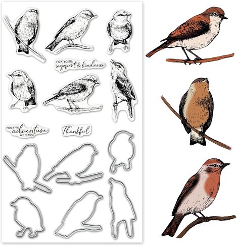 Heureppy Birds Cutting Dies and Clear Stamps Animals with Die Cuts for Card Making, Thankful Words Animal Embossing Stencil Template Tool DIY Scrapbooking Photo Album Craft Decoration in Kuwait