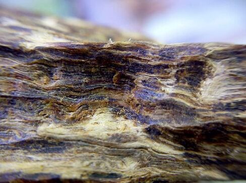 Incense 4 Stars Vietnam Nha Trang Agarwood 120 Sticks Lying Incense (★★★★ 4 Stars Agarwood 120 Sticks) in Kuwait
