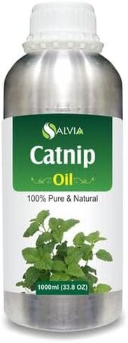 Bulk Bhringraj Oil (Eclipta alba) Carrier Oil 100% Pure & Natural Undiluted Unrefined Uncut Organic Standard Oil Cold Pressed Therapeutic Grade Aromatherapy Bulk Oil 1000ml/33.8fl oz in Saudi Arabia