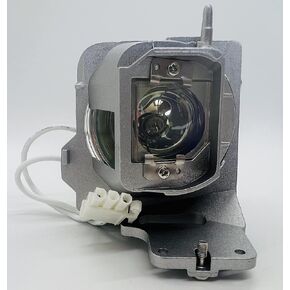 OEM BL-FU240H Lamp & Housing for Optoma Projectors with Philips Bulb Inside - 240 Day Warranty