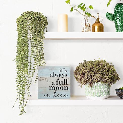 Funny Bathroom Sign Bathroom Decor Desk Decor Wooden Box Sign Rustic Wood Block Plaque Box Sign for Home Farmhouse Office Restroom Toilet Shelf Table Decoration It's Always a Full Moon in Here Sign in Saudi Arabia